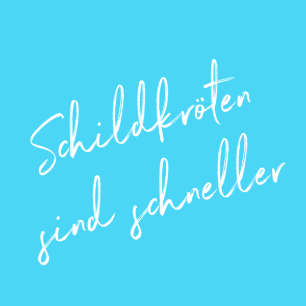 Schildkröten sind schneller